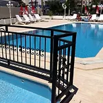 Oasis
